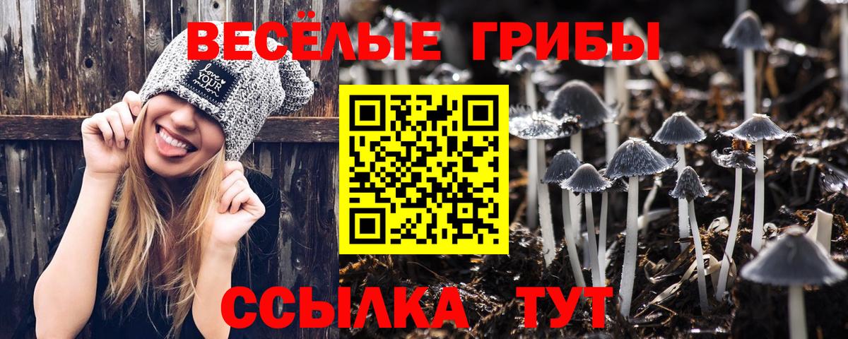Благодарный  Галлюциногенные грибы Magic Shrooms  Вход с VPN 